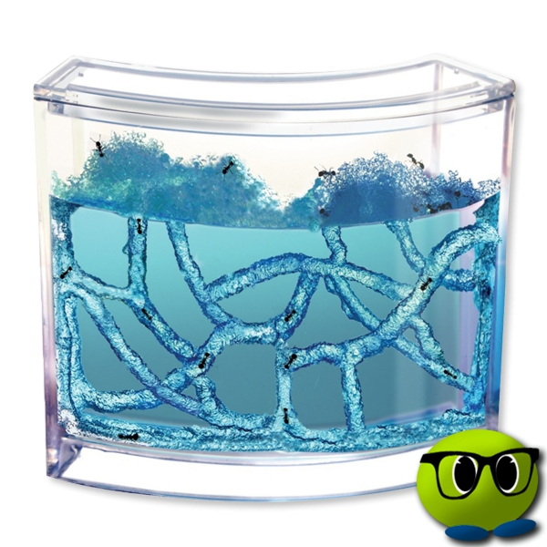 Fourmilière En PVC Et Gel Nutritif - Mrbulle 1 Fourmilière En PVC Et Gel Nutritif - Mrbulle