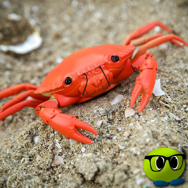 Crabe Télecommandé - Mrbulle 1 Crabe Télecommandé - Mrbulle