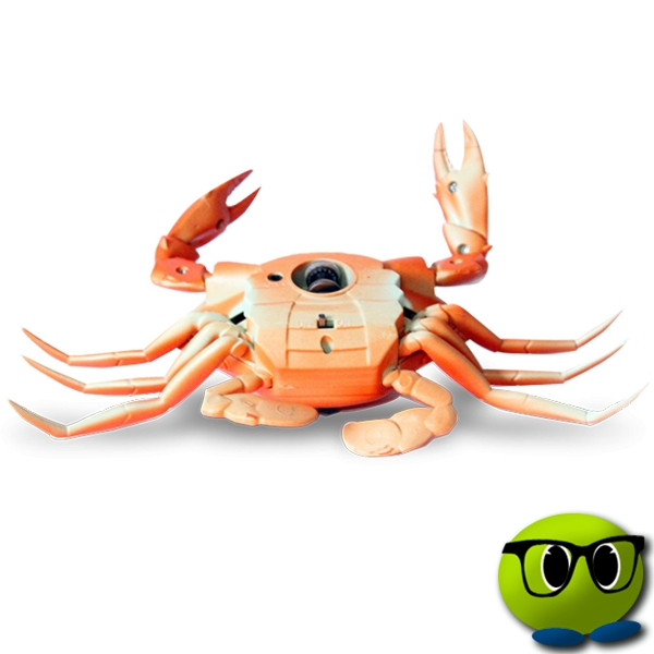 Crabe Télecommandé - Mrbulle 4 Crabe Télecommandé - Mrbulle - Image 4