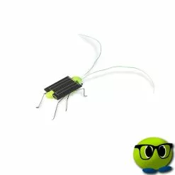 Petit Criquet Solaire - Mrbulle