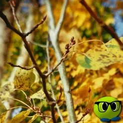 Appareil Photo à Monter - Mrbulle 6 Appareil Photo à Monter - Mrbulle -halloween Shop 7647 photo