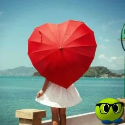 Parapluie Romantique En Forme De Coeur Rouge - Mrbulle 5 Parapluie Romantique En Forme De Coeur Rouge - Mrbulle -halloween Shop 7865 photo